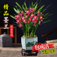 �����m������ī�m��ڈ�q�m���~�m�������İ�ī�͏d�̨�Gֲ����