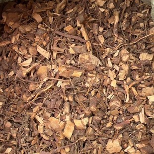 ��ș�ļt��ɼ��1����t��ɼ����t��ɼ���Ә��Ƥ