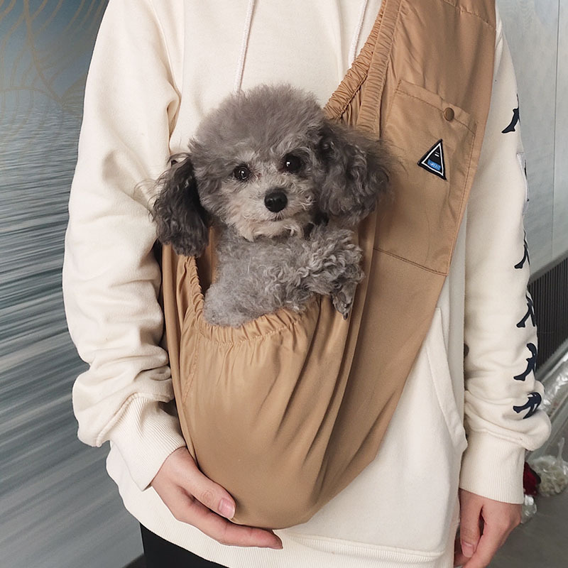 卸売りペットのリュックサック犬は旅行に出かけます。|undefined