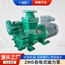 ZMD自吸式磁力泵