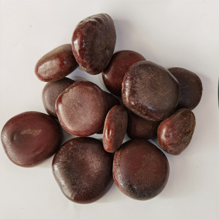 ��ș���� �^������ �I�䌚 ������ ľ�����ݾ���ș�� ���󃞻�