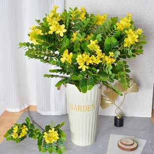 ���滱����֦ С�S���~�S�������~���� �@�ֹ����쾰����Gֲ�~��