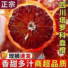 正宗四川新鲜塔罗科血橙玫瑰头茬采摘应季孕妇水果红心薄皮甜橙子