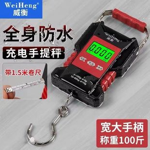 Waterproof Portable Electronic Scale High Precision Weighing Portable 50kg Portable Small Scale Outdoor Fishing Hook Weighing