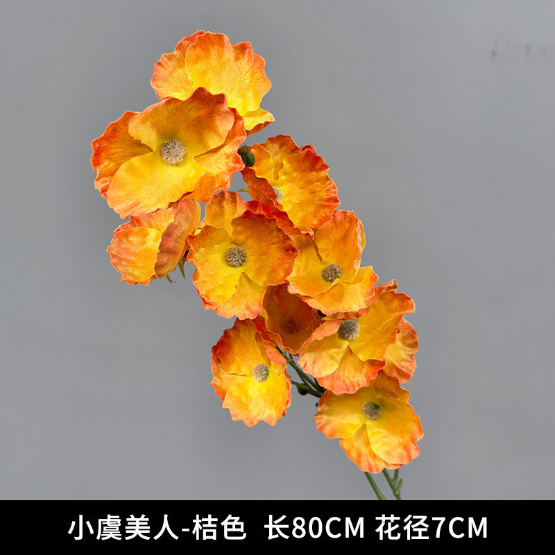 小虞美人