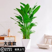 BؔB;GֲQm͏dkҲ͏dܛb՚