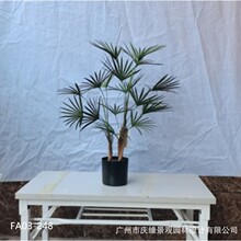 仿真金山棕盆栽景多裂棕竹仿生绿植室内造景家居装饰棕树扇葵蒲葵