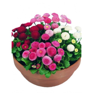 �M���r�����K�N��ͥԺ������ϲ����ͺ����ܷN�������ļ����N�_��