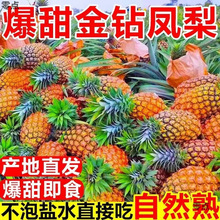 带箱5斤海南金钻凤梨爆甜多汁新鲜10应季孕妇水果手撕无眼菠萝