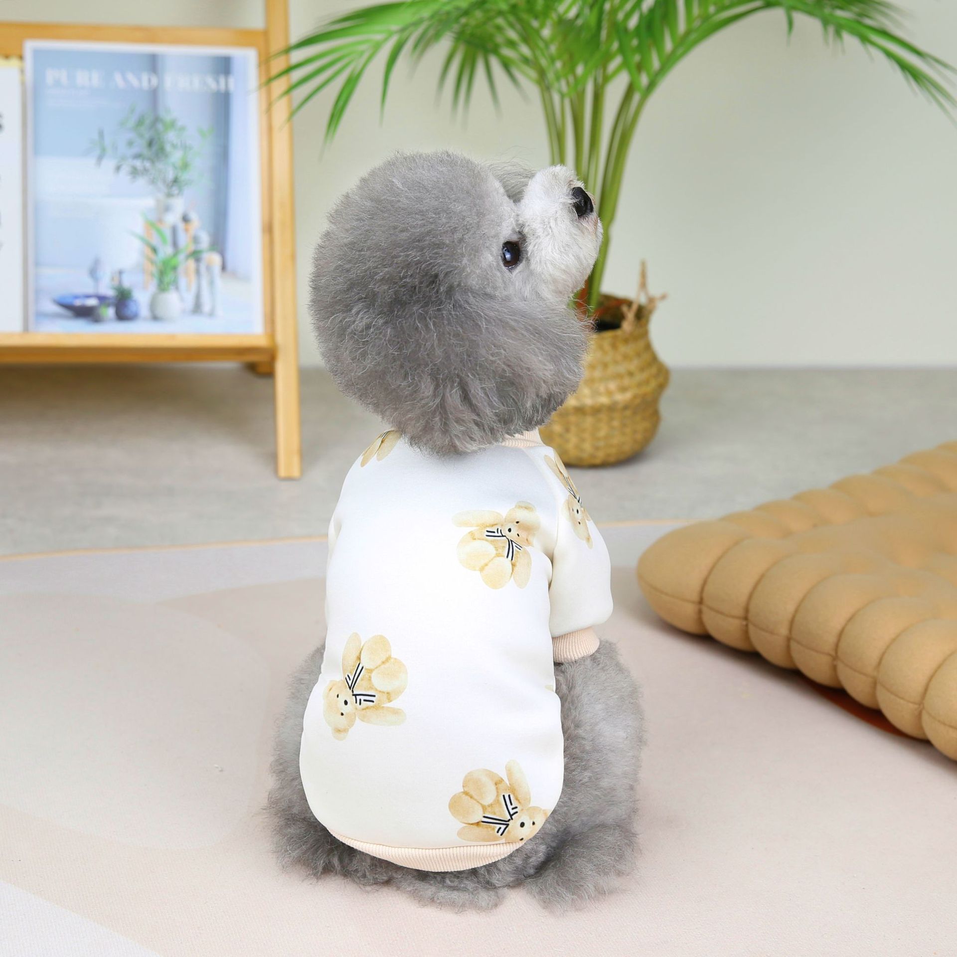 2022洛丽塔小熊卫衣