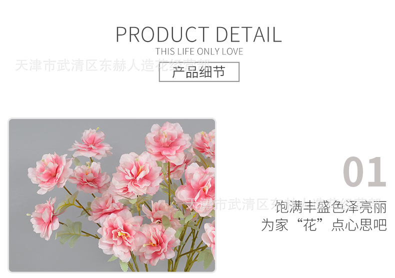 详情_09.png