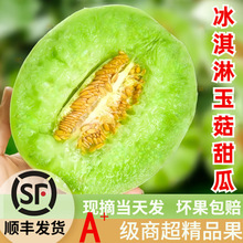 海南冰淇淋玉菇甜瓜大果10新鲜水果斤应季当季整箱香瓜羊角脆蜜瓜