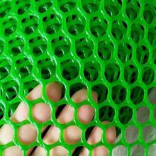 绿色塑料网养殖网育雏网床养鸡养鸭养鹅养蜂小鸡漏粪阳台防护围网