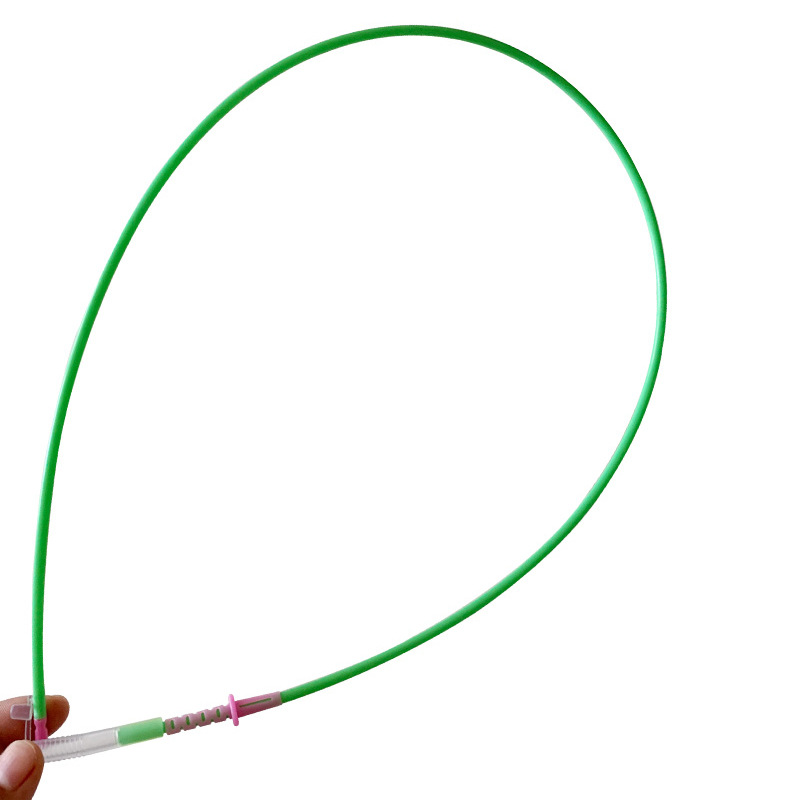 Vascular vascular deferente para cerdos importados de España, inseminación artificial profunda, vascular vascular deferente profundo, cerdo vascular vascular deferente