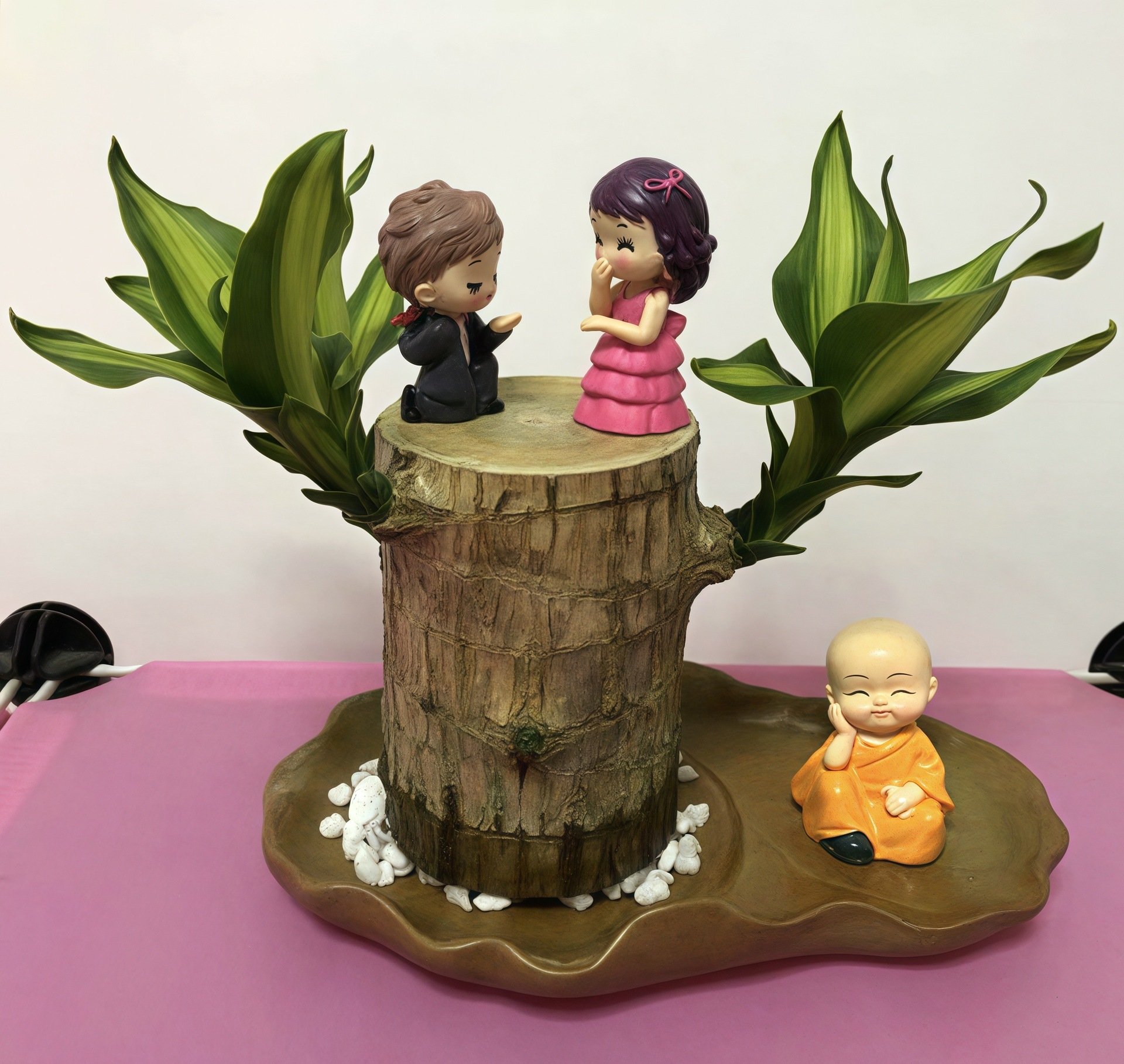 인기 굵은 [빠른 개화 및 발아] 브라질 목재 + 프로포즈 + 꼬마 스님 + 연잎 대야 / 액체 전달