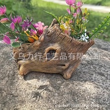 �羳�����֬���⻨���ľ�����������B�䘶����[���辰