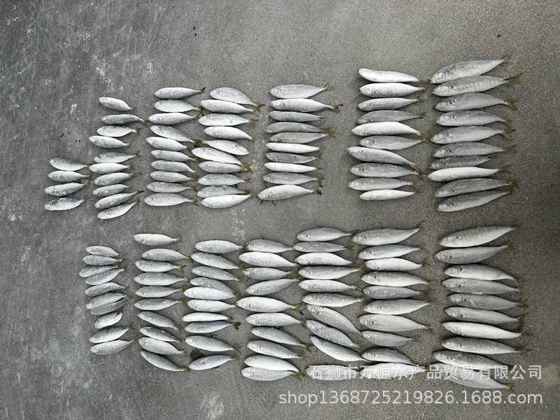 微信图片_20230823160146