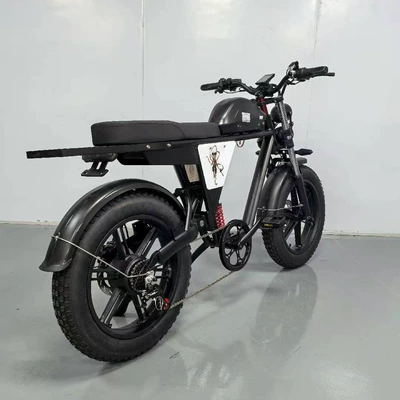 20inch Off-Road Variable Speed Elektrikli motosikletlər