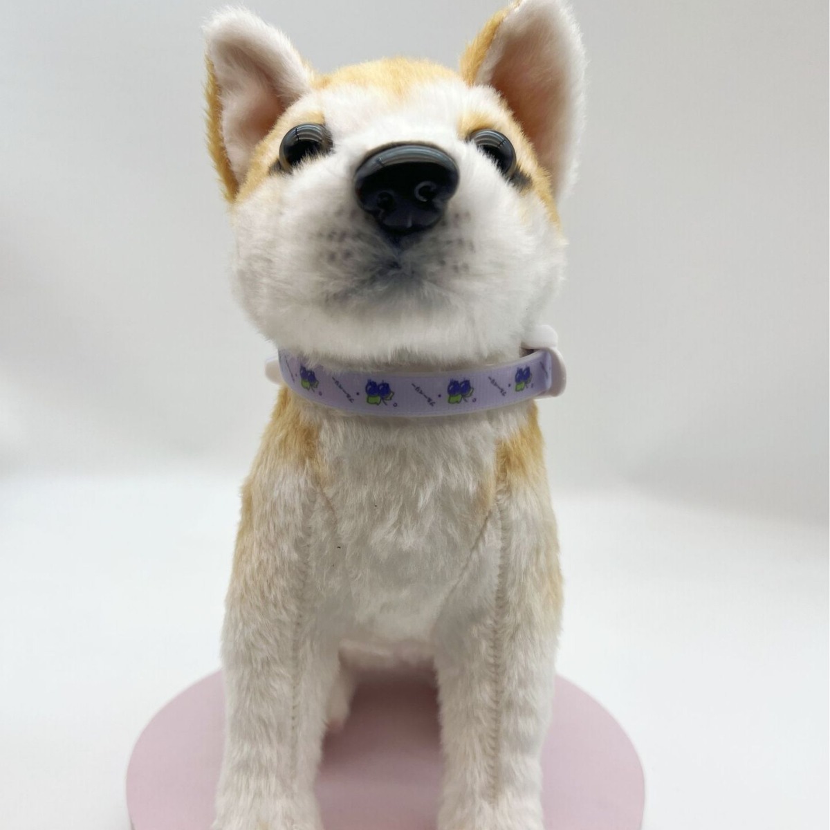 Collar repelente de insectos para perros, anillo repelente de mosquitos para gatos, eliminación de pulgas, prevención de piojos, ácaros, eliminación de pulgas, collar, suministros para mascotas