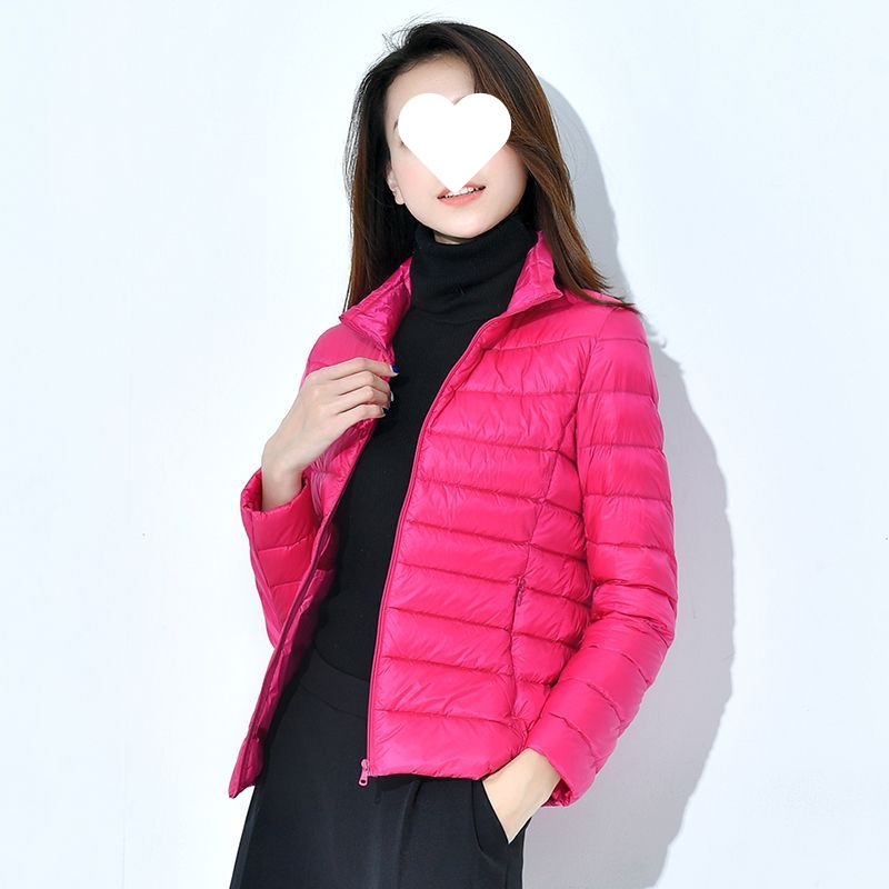 로즈 레드(스탠드 칼라)