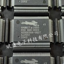 RABBIT2000  R30668-0003��Ʒ���汣����