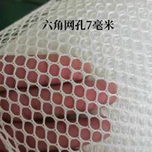 六角圆孔尼龙网布水产养殖网箱网拉渔网隔离鱼苗水花锦鲤育苗