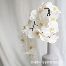 高品质8头仿真蝴蝶兰 软装 花艺设计 拍摄道具  家居样板间摆件