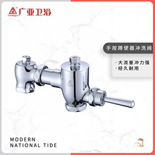 广亚手柄蹲便器冲水阀大便冲洗阀卧式手按全铜厕所便池延时阀