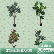 ������Ƥ��Gֲ�����҃��b[���٘�׃ɫ�辰�͏d�̨������