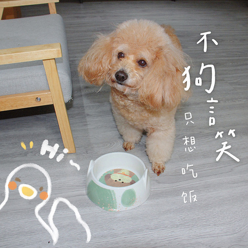 New pet bowl melamine dog bowl dog food bowl cute shape dog bowl cat bowl anti-knock over rice bowl cat drinking water bowl
