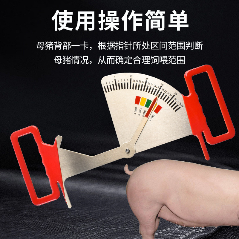 Calibrador de alimentación para cerdos, regla de gestión de alimentación de acero inoxidable, guía de medición de la condición del cerdo, regla de alimentación para cerdas embarazadas