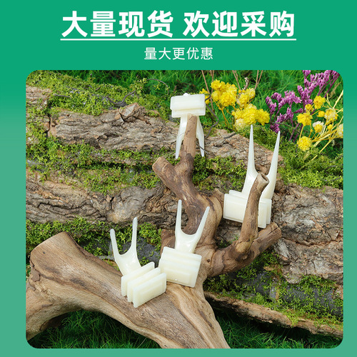 Bird fruit fork, vegetable clip, parrot bird food fork, plastic bird toy, birdcage, bird feeder, bird supplies