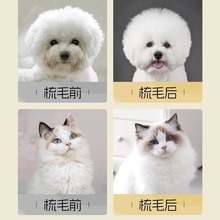 ペット用ブラシ、猫用コーム、犬用毛用コーム、猫用ニードルコーム、テディビション犬用品
