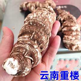 250g包邮重楼 云南重楼片 七叶一枝花 滇重楼蚤 休重楼真货好货