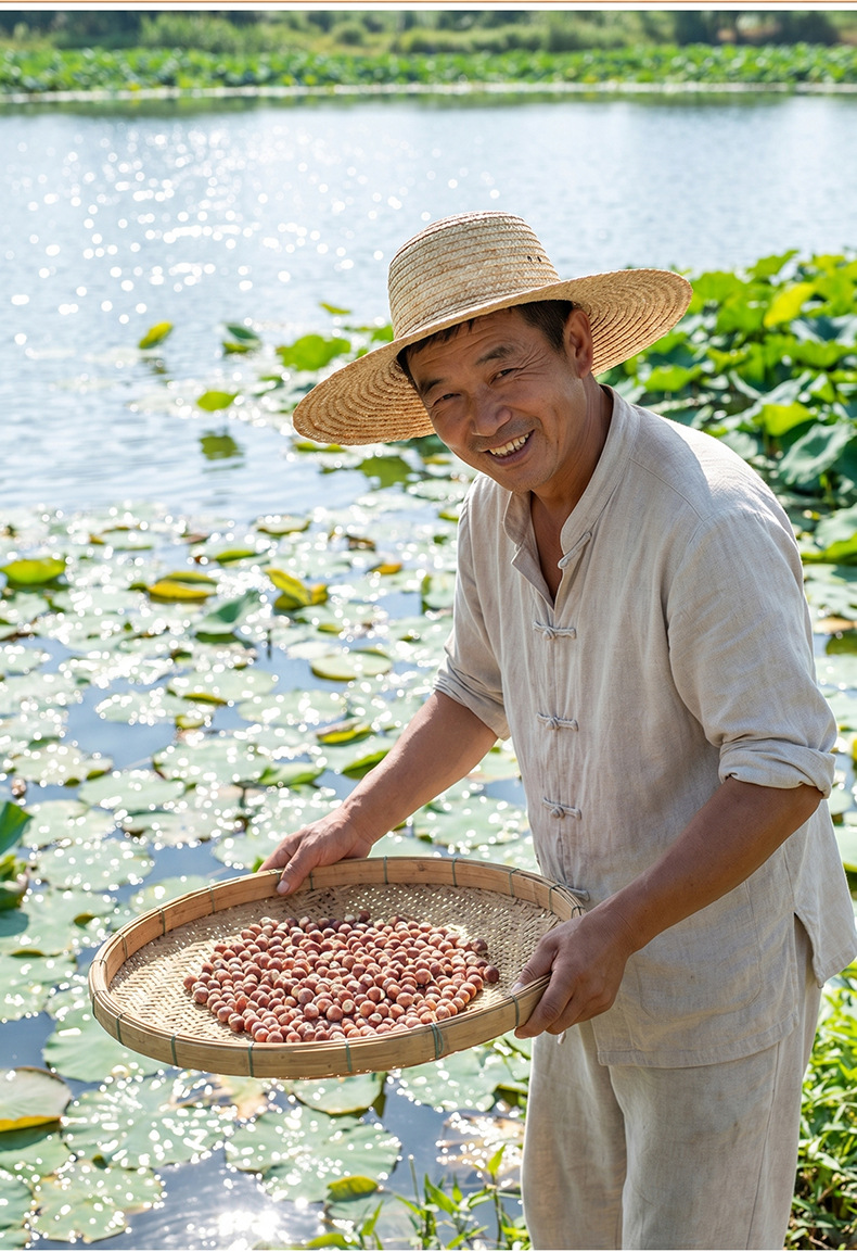 Premium Red-Skin Qian Shi Dried Euryale Fox Nuts Whole Gorgon Fruit Kernels 100g specifications