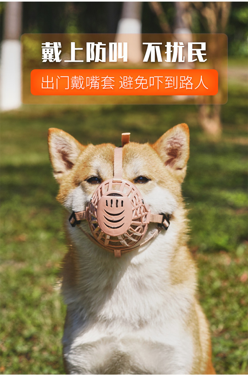 微信图片_20250605212121