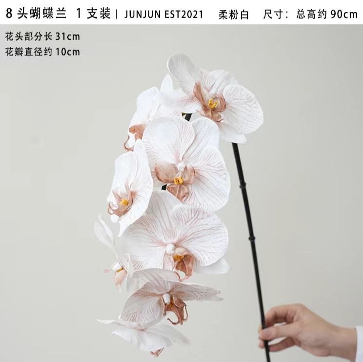 110424浅咖