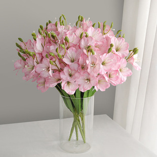 ���uͨ؛Դ����3D��ӡ20�^���m�� �͏d�����[������ٻ��ָл���