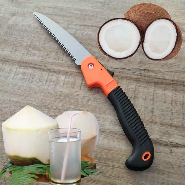 Coconut steel saw with folding