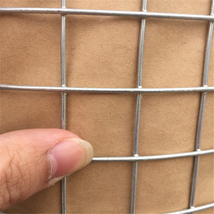 厂家直销 镀锌电焊网 铁丝网 墙体保温网 养殖网 抹灰网 围栏网