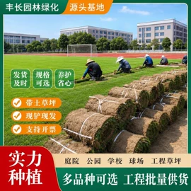 盆栽;园林果树;乔木