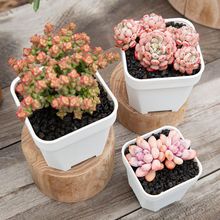 ���⻨���غ�\С�ڷ���Ӻ�͸������С�׷��γ���