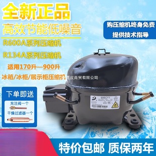 ȫ�±���R600չʾ���䙙R134a������䉺�s�CK270 325 375CZ1