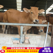 Сţɽ|Bֳ۸ԪsţNţSţ