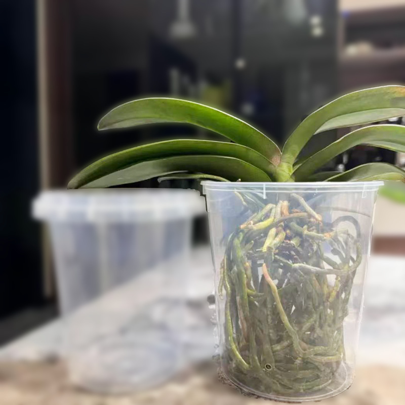 Disposable Transparent Plastic Paint Mixing Cup Paint Bucket Enlarged and Thickeneded Transparent Plastic Bucket Transparent Flower Pot Large Capacity
