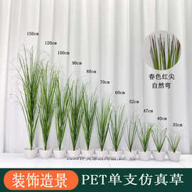 diy仿真狗尾草单支仿真草 绿植墙装饰造景洋葱草芦苇草仿真花假花