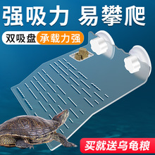 乌龟晒台龟爬台休息台吸盘晒台高水位栖息台亚克力晒背台水族用品
