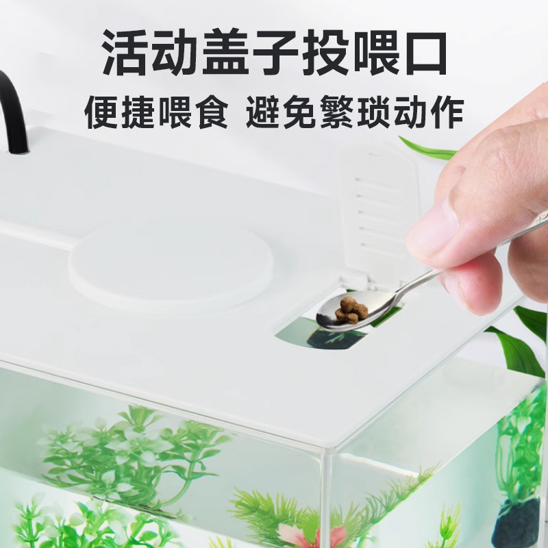 Acuario Ecológico de Escritorio con Filtro Externo e Iluminación para Sala de Estar image 4