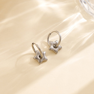 Cross-Border Popular Stainless Steel Pendant Earrings, Personalized, Trendy and Versatile, Daily Wear, Same Style Earrings for Men and Women