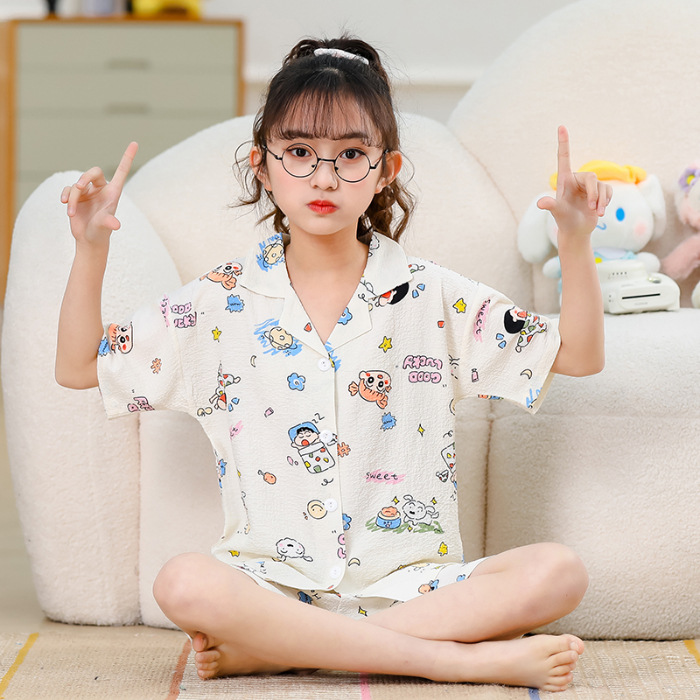 Zd - 230 ¿ Crayon XiaoXin